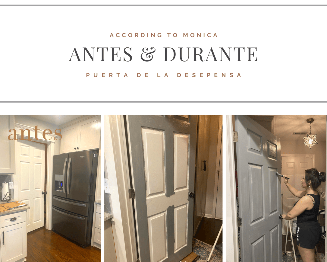 6E28EE0D-2FA9-4C0C-84F3-A793D0229231